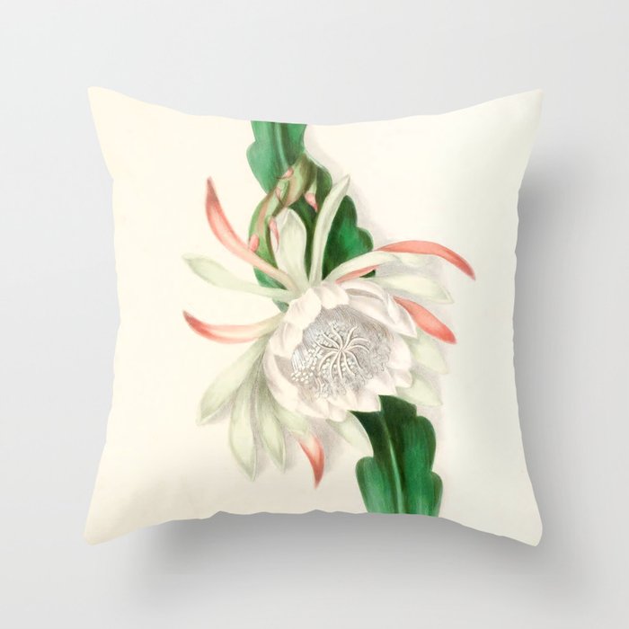  Cactus by Clarissa Munger Badger, 1866 (benefitting The Nature Conservancy) Throw Pillow Gallery Image 6