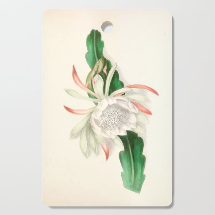  Cactus by Clarissa Munger Badger, 1866 (benefitting The Nature Conservancy) Cutting Board Gallery Image 1