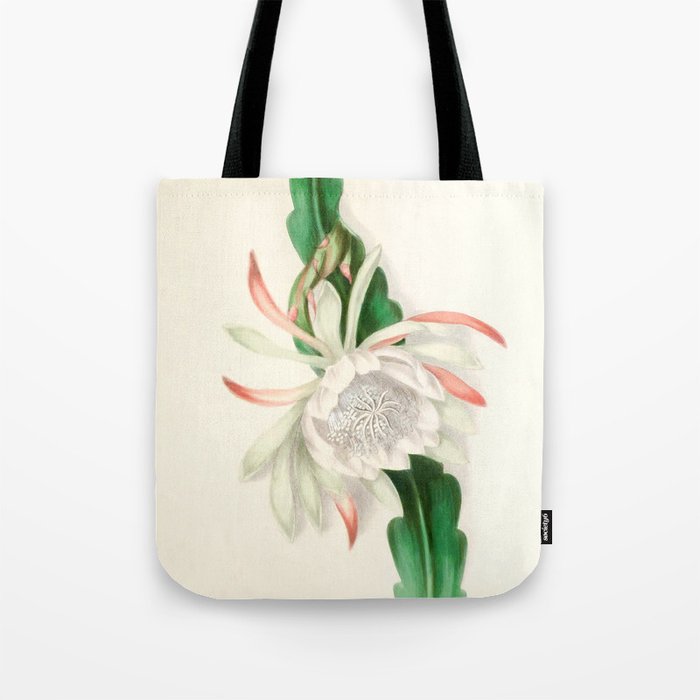  Cactus by Clarissa Munger Badger, 1866 (benefitting The Nature Conservancy) Tote Bag Gallery Image 1