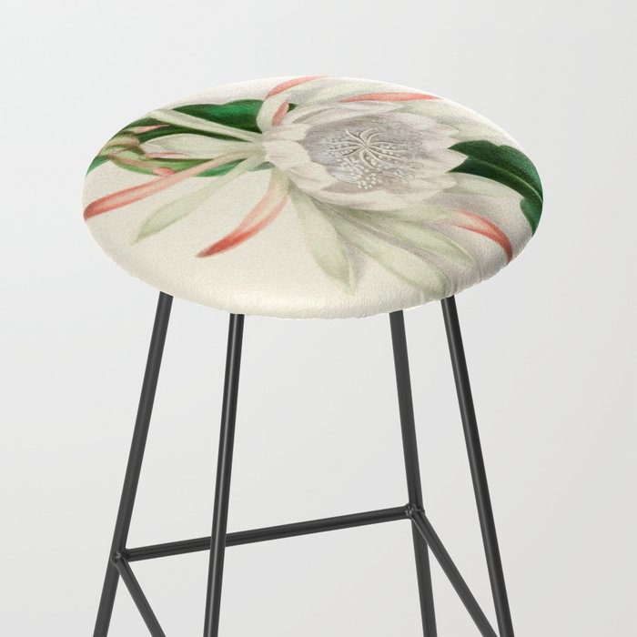  Cactus by Clarissa Munger Badger, 1866 (benefitting The Nature Conservancy) Stool Gallery Image 2