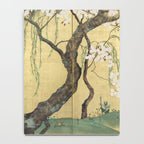 Cherry Tree Japanese Edo Period Six-Panel Gold Leaf Screen Notebook Gallery Image 4