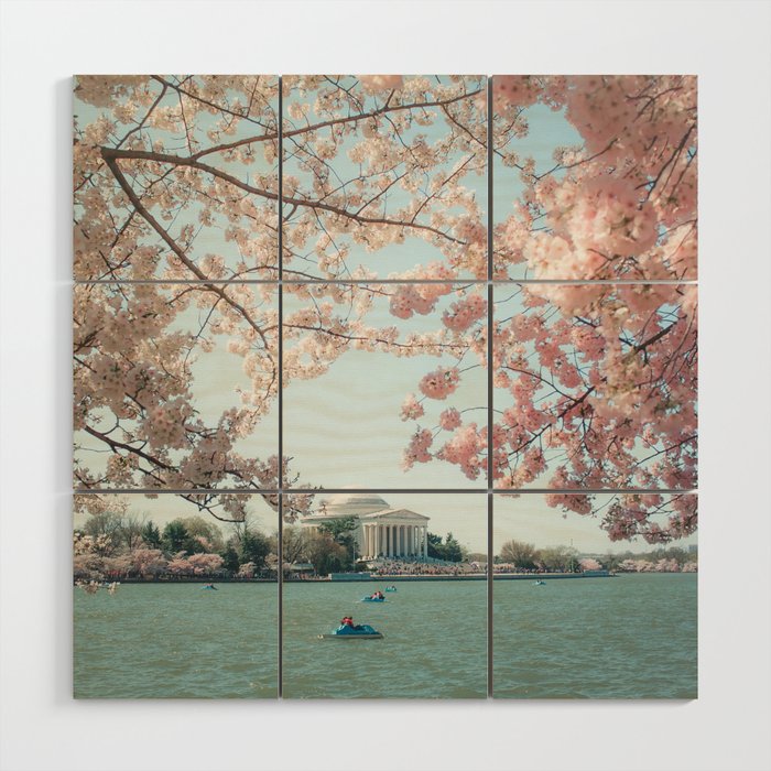 Washington DC Cherry Blossoms II Wood Wall Art Gallery Image 1