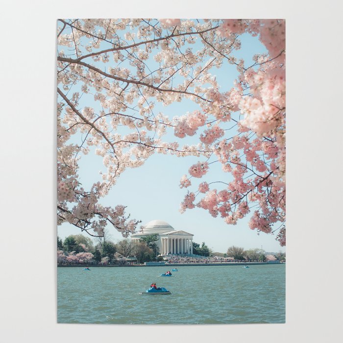Washington DC Cherry Blossoms II Poster Gallery Image 4