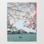 Washington DC Cherry Blossoms II Poster Gallery Image 4