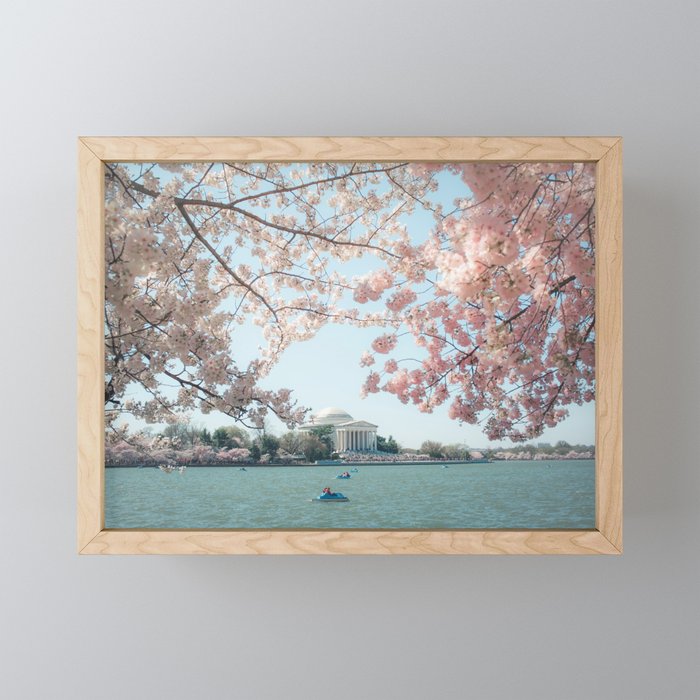 Washington DC Cherry Blossoms II Mini Art Print Gallery Image 1
