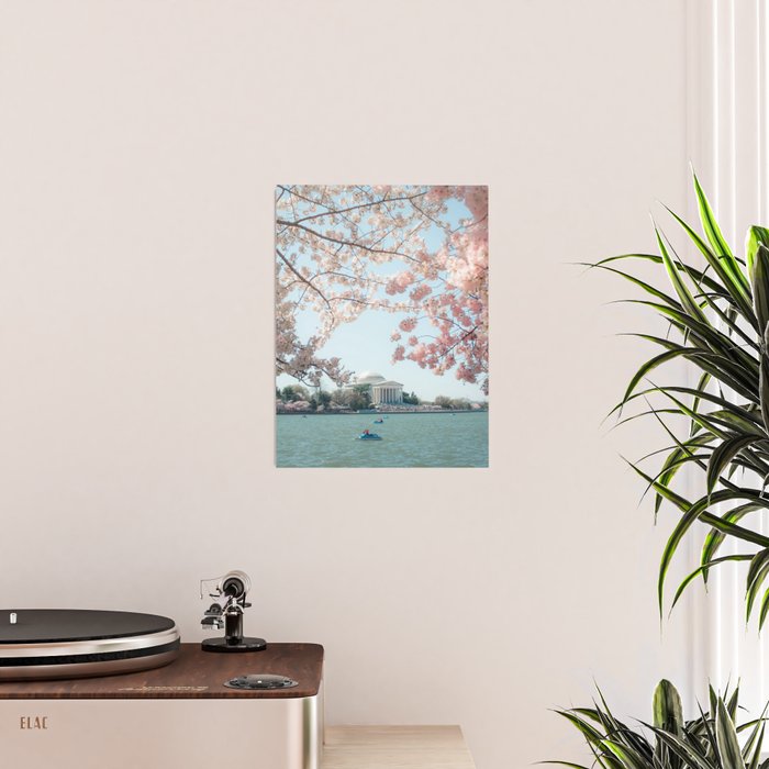 Washington DC Cherry Blossoms II Poster Gallery Image 2