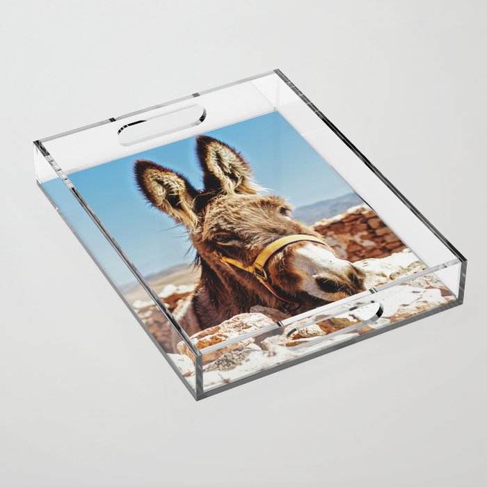 Donkey photo Acrylic Tray Gallery Image 1