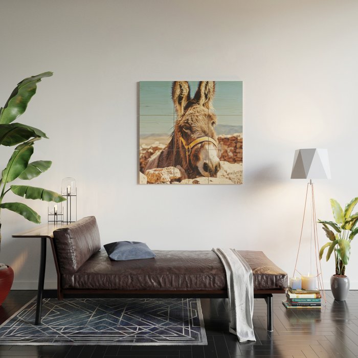 Donkey photo Wood Wall Art Gallery Image 2