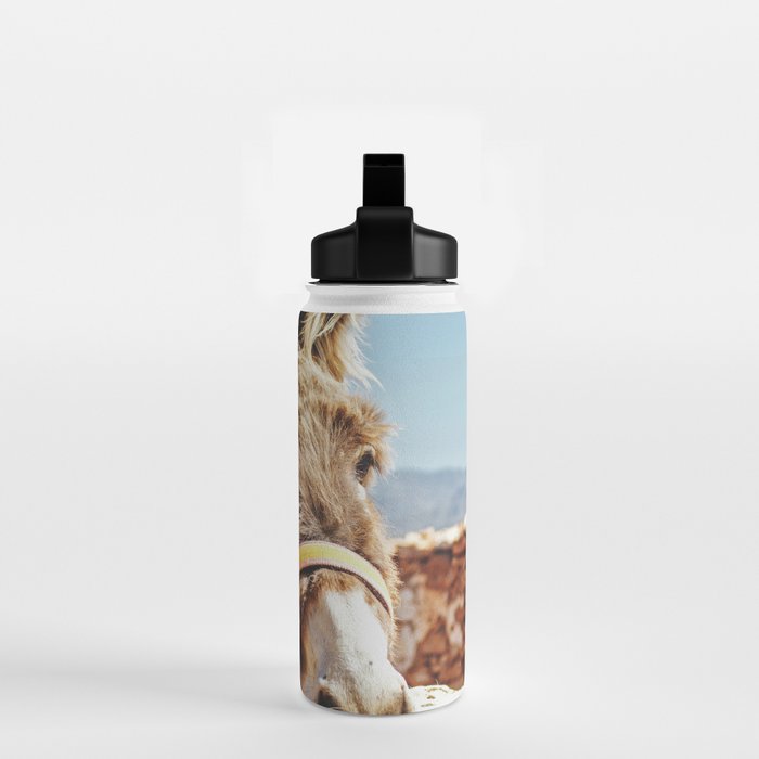 Donkey photo Water Bottle Gallery Image 2