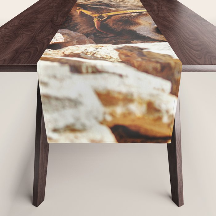 Donkey photo Table Runner Gallery Image 1