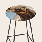 Donkey photo Stool Gallery Image 2