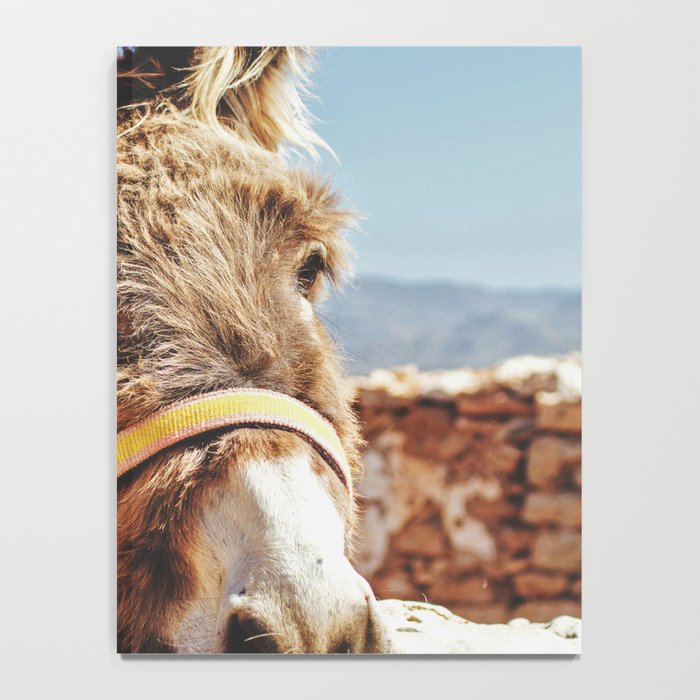 Donkey photo Notebook Gallery Image 4