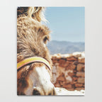 Donkey photo Notebook Gallery Image 4