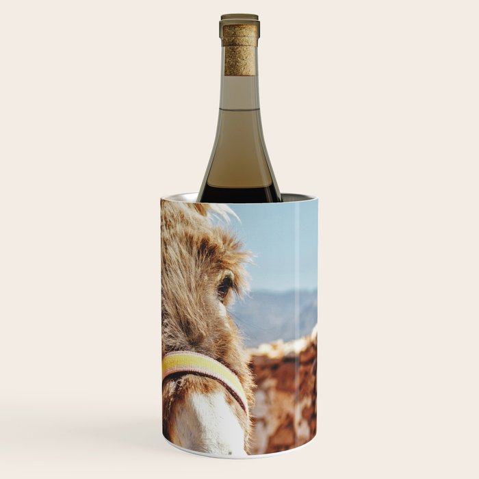 Donkey photo Wine Chiller Gallery Image 3