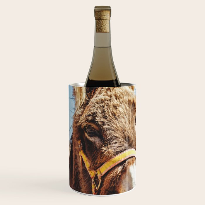 Donkey photo Wine Chiller Gallery Image 1
