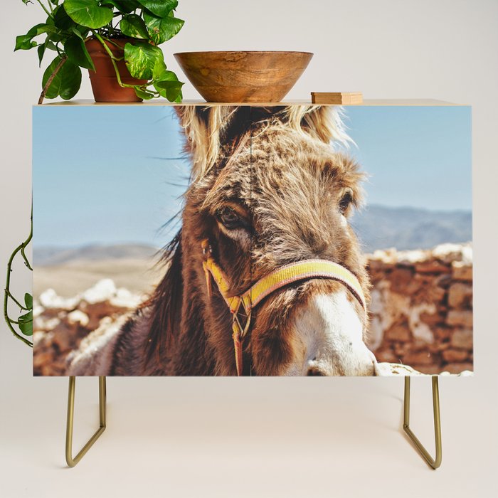Donkey photo Credenza Gallery Image 1