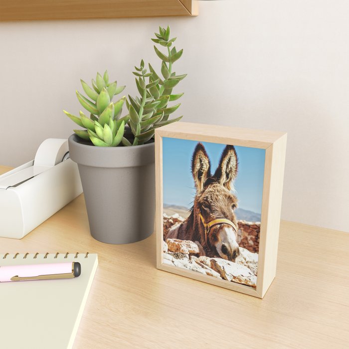 Donkey photo Mini Art Print Gallery Image 2
