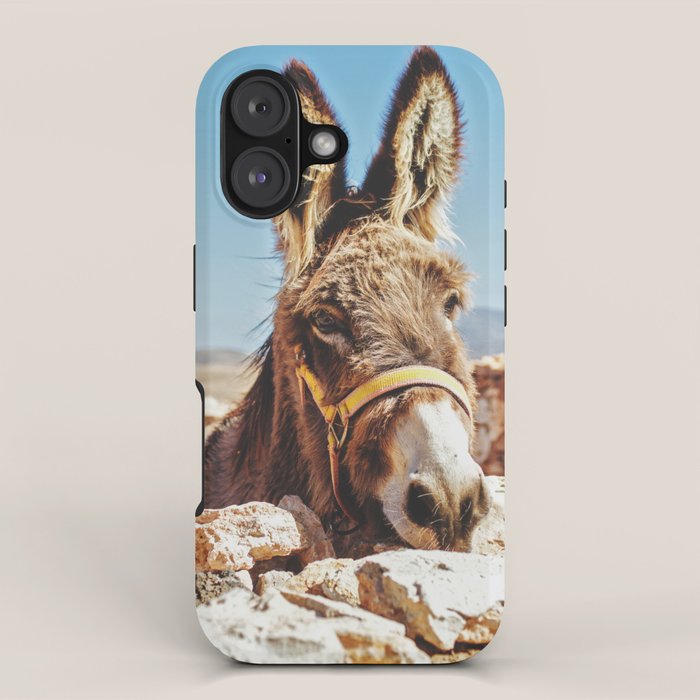Donkey photo iPhone Case Gallery Image 1
