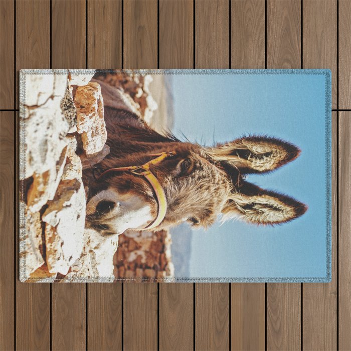 Donkey photo Outdoor Rug Gallery Image 1