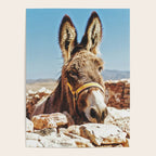 Donkey photo Poster Gallery Image 4