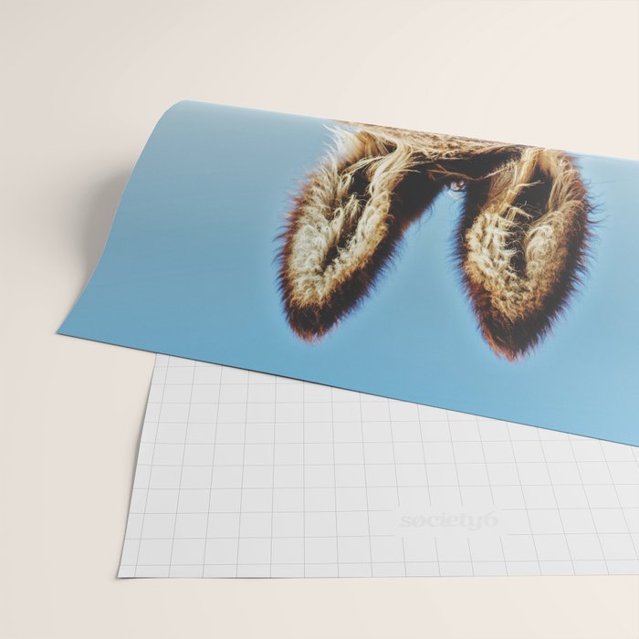Donkey photo Wrapping Paper Gallery Image 2