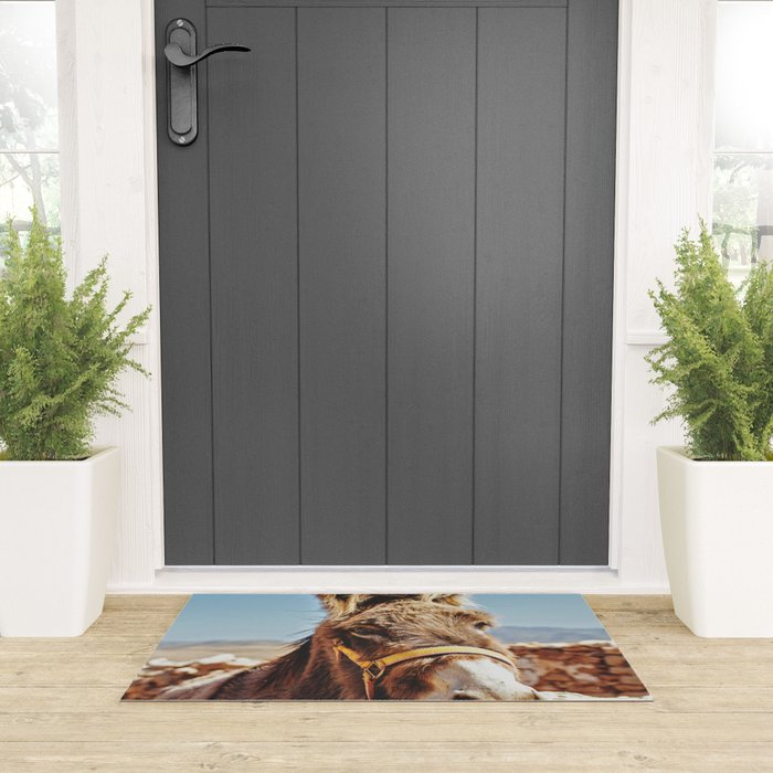 Donkey photo Welcome Mat Gallery Image 3