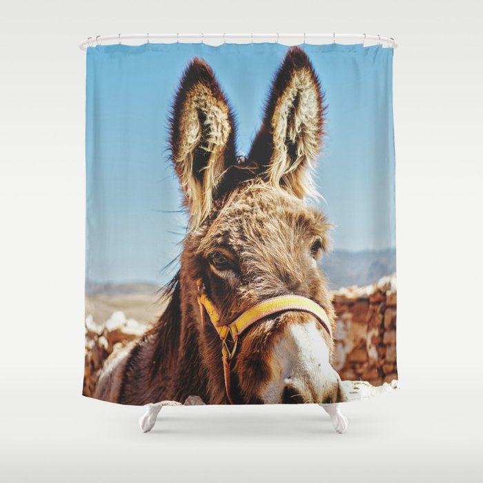Donkey photo Shower Curtain Gallery Image 1