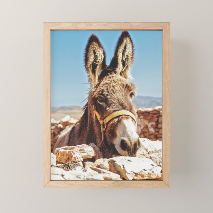 Donkey photo Mini Art Print Gallery Image 1