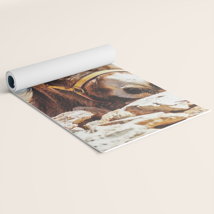 Donkey photo Yoga Mat Gallery Image 2
