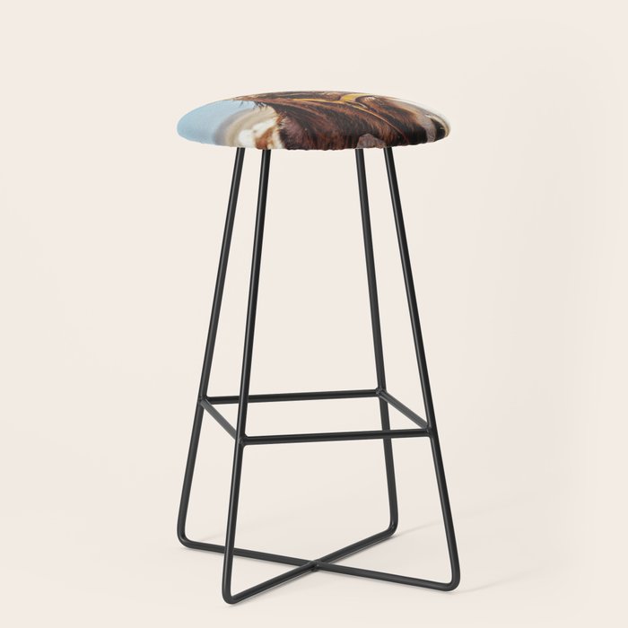 Donkey photo Stool Gallery Image 1