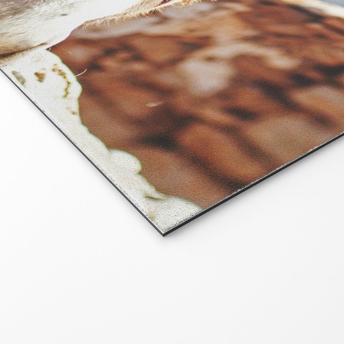 Donkey photo Welcome Mat Gallery Image 2