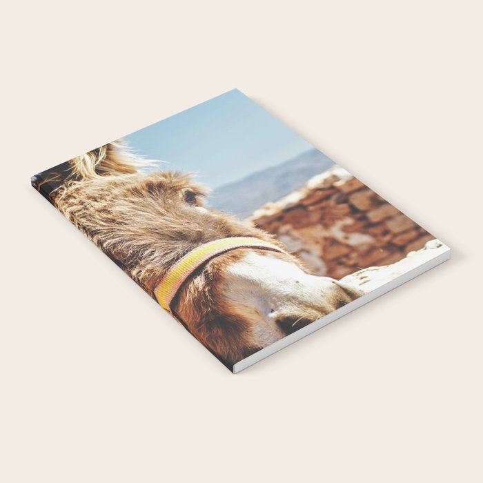 Donkey photo Notebook Gallery Image 1