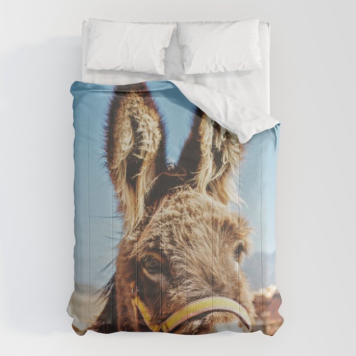 Donkey photo Comforter Gallery Image 1
