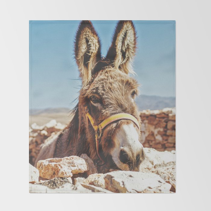 Donkey photo Throw Blanket Gallery Image 2