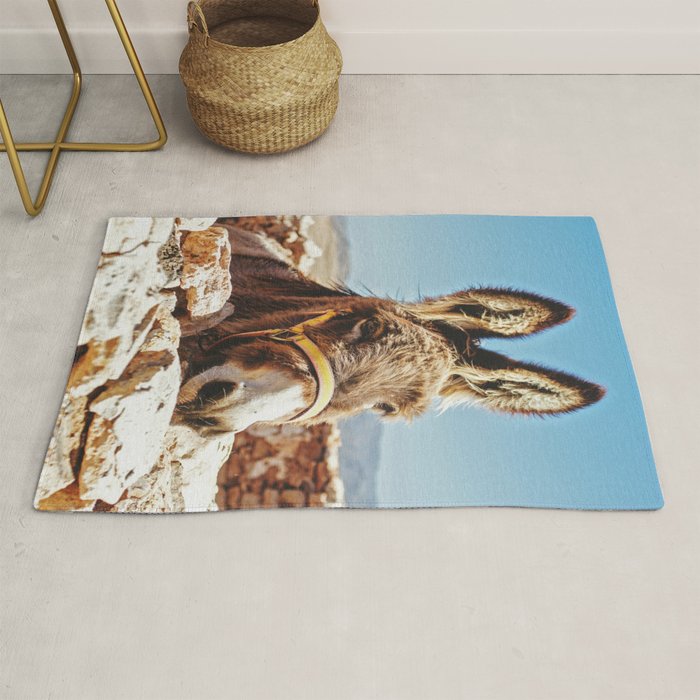 Donkey photo Rug Gallery Image 1