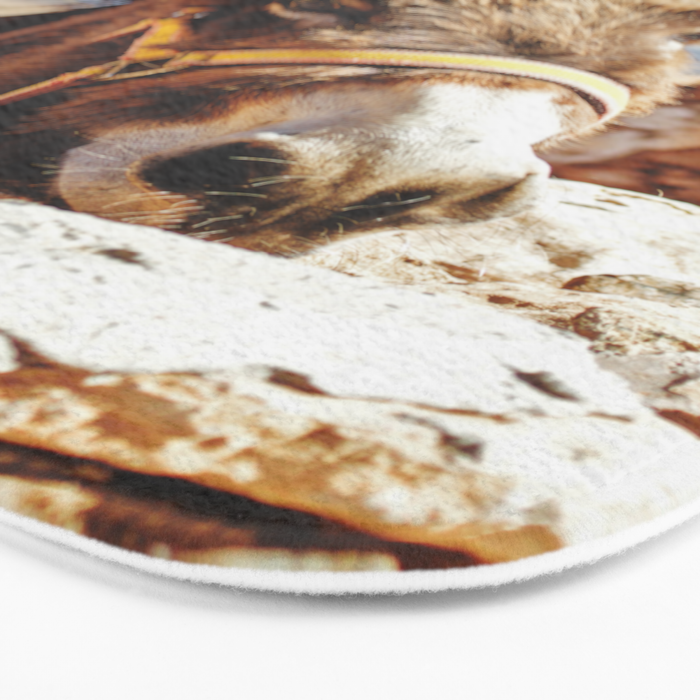Donkey photo Bath Mat Gallery Image 3