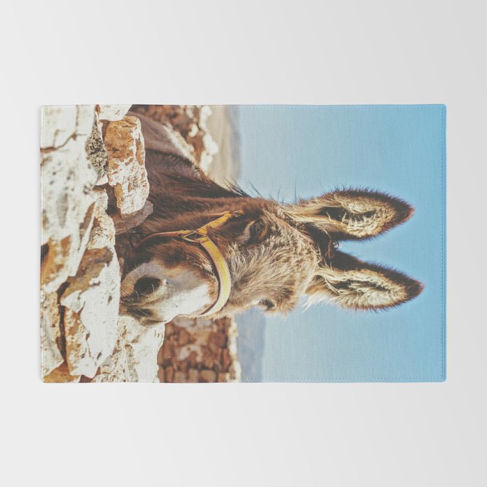 Donkey photo Rug Gallery Image 2