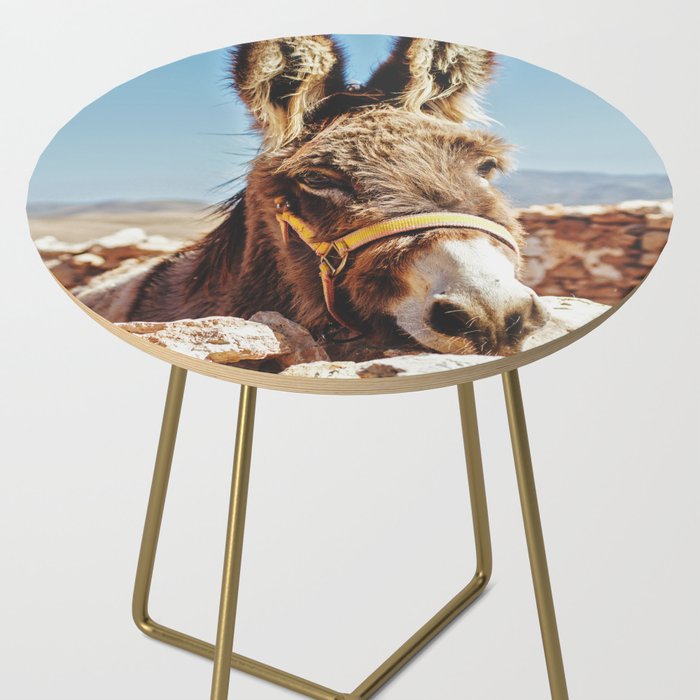 Donkey photo Side Table Gallery Image 2