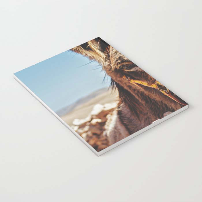 Donkey photo Notebook Gallery Image 3