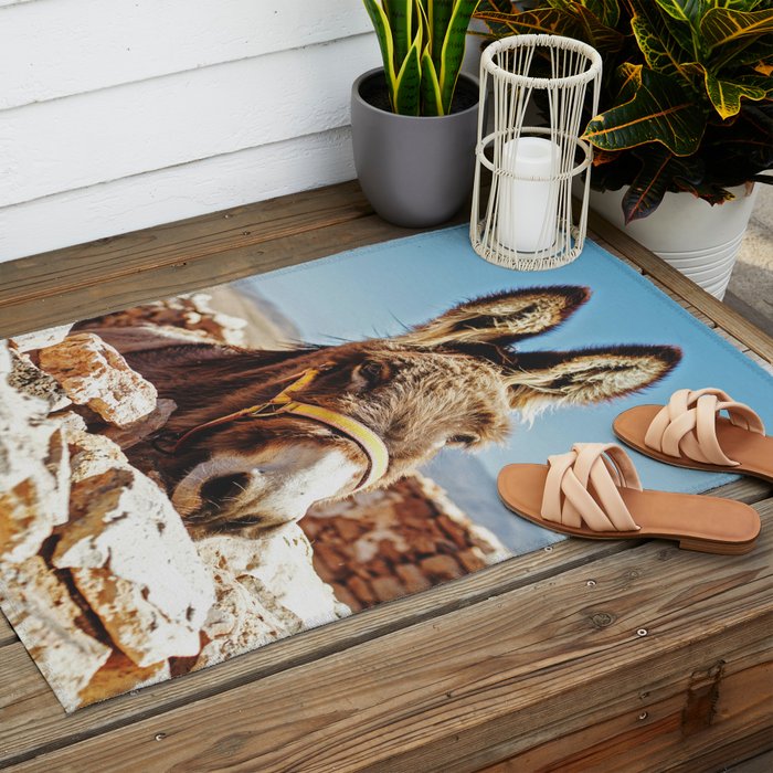 Donkey photo Outdoor Rug Gallery Image 2