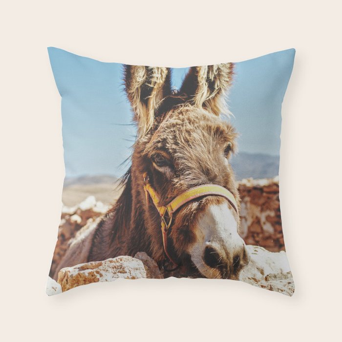 Donkey photo Throw Pillow Gallery Image 6