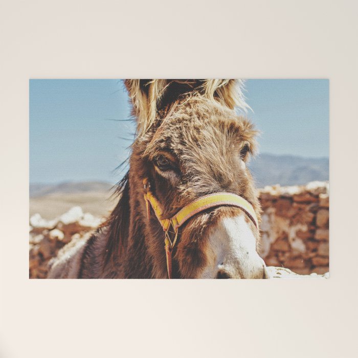 Donkey photo Welcome Mat Gallery Image 1