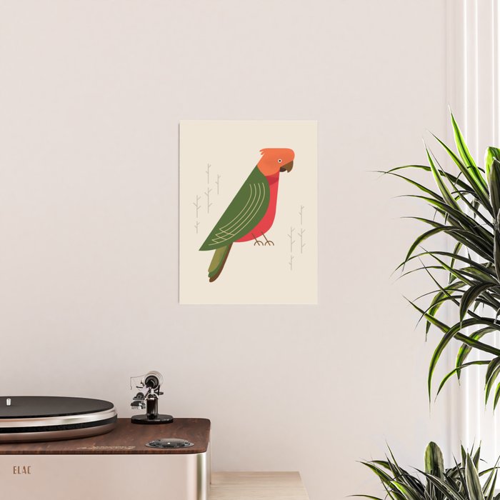 Australian King Parrot, Bird of Australia Poster Gallery Image 2