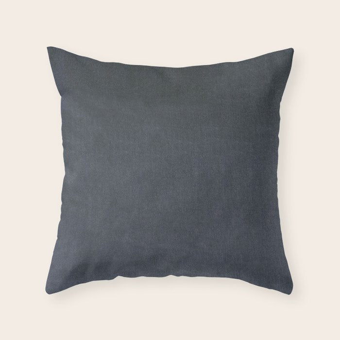 Charcoal Velvet Throw Pillow Gallery Image 6