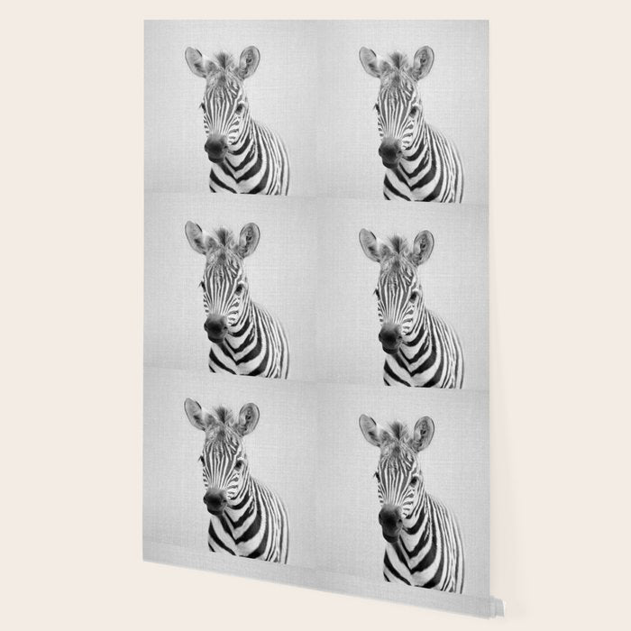 Baby Zebra - Black & White Wallpaper Gallery Image 2