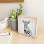 Baby Zebra - Black & White Mini Art Print Gallery Image 2