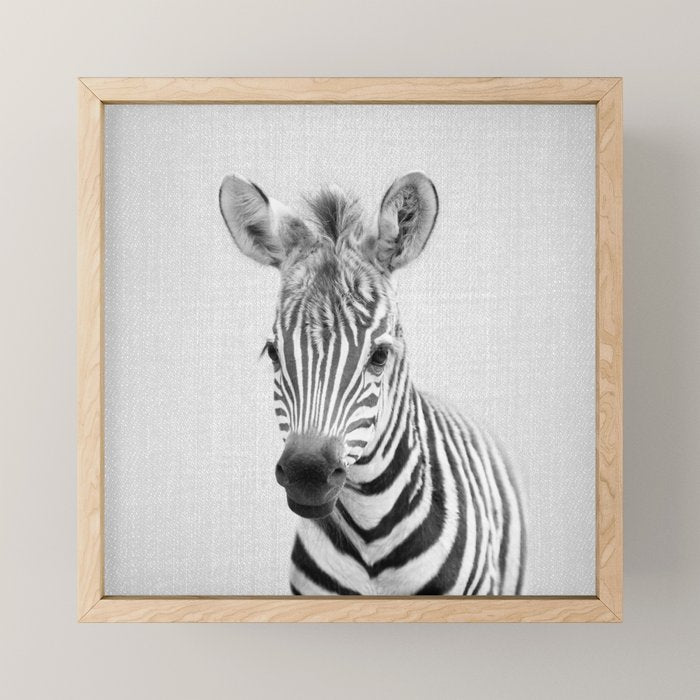 Baby Zebra - Black & White Mini Art Print Gallery Image 1