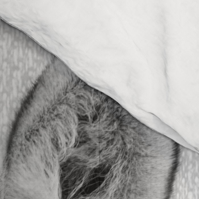 Baby Zebra - Black & White Comforter Gallery Image 4