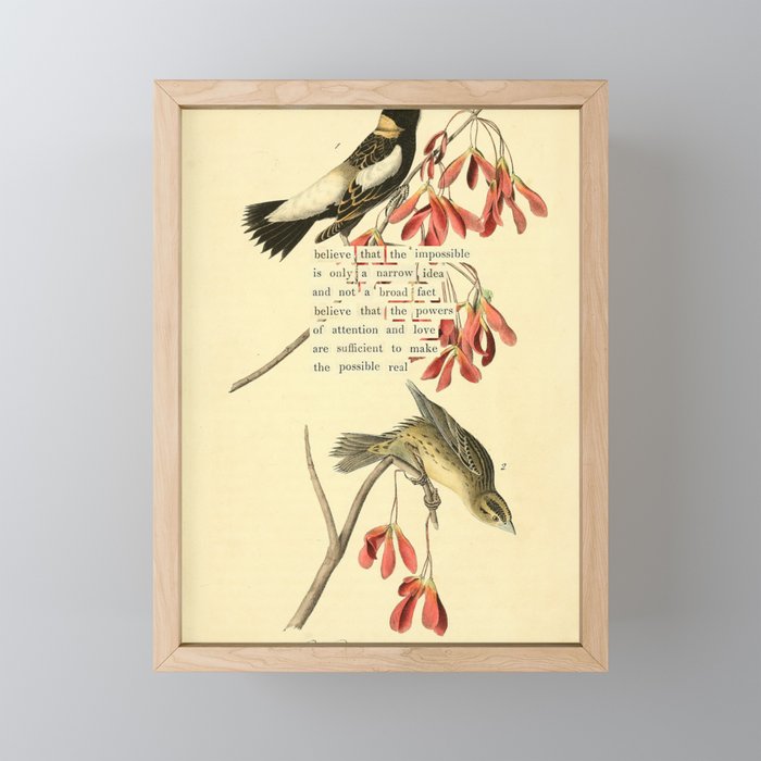 Bird Divinations: Wandering Rice Bird (about: almanacofbirds.org) Mini Art Print Gallery Image 1