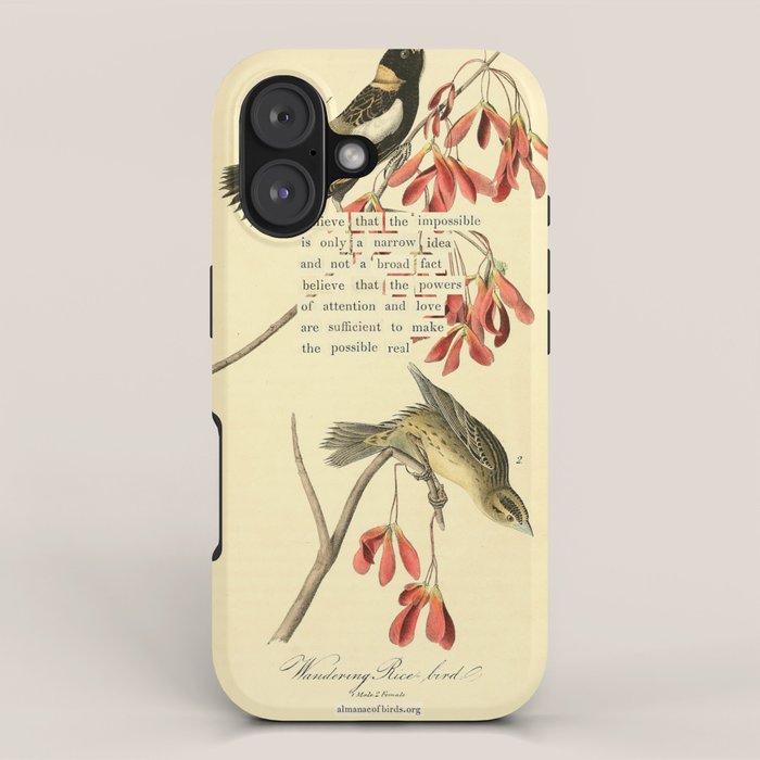 Bird Divinations: Wandering Rice Bird (about: almanacofbirds.org) iPhone Case Gallery Image 1